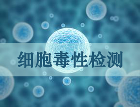 细胞毒性实验